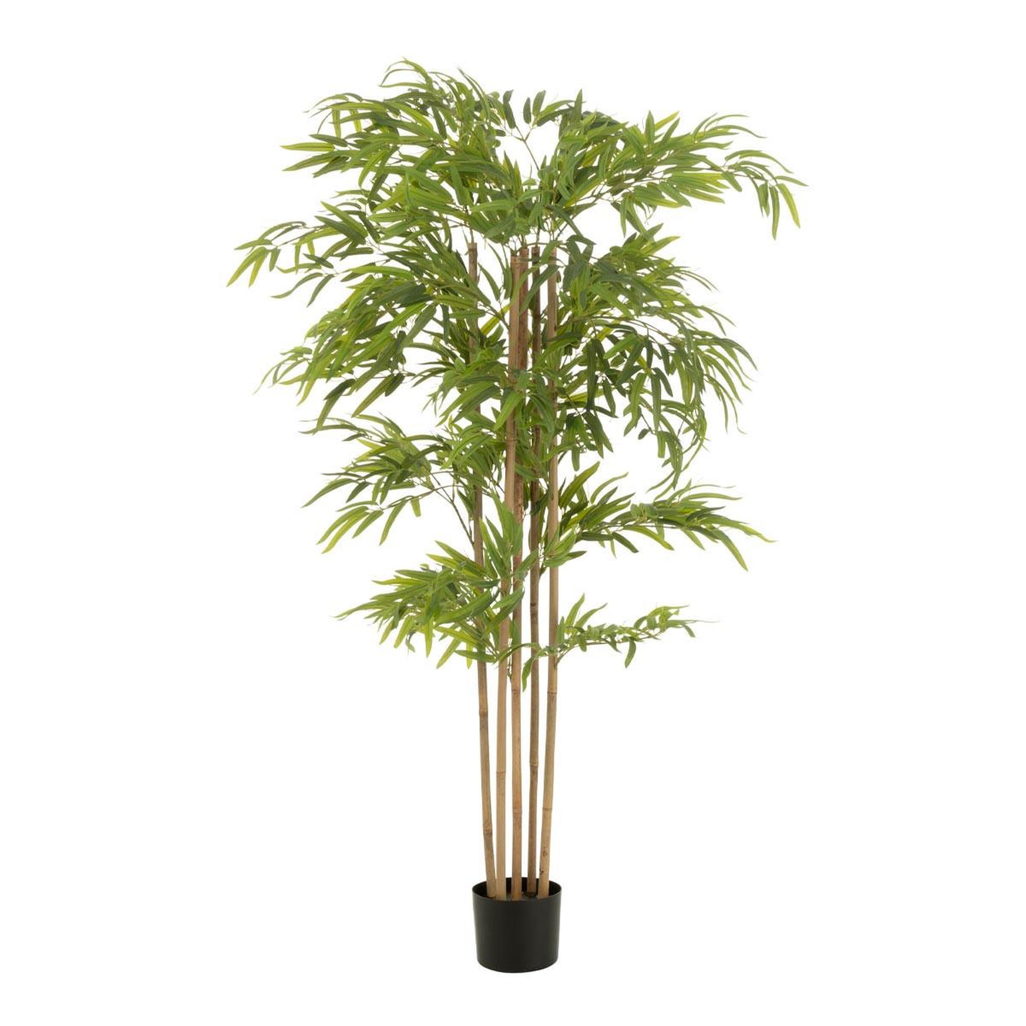 J-LINE Plante artificielle en pot  bambou  150cm vert