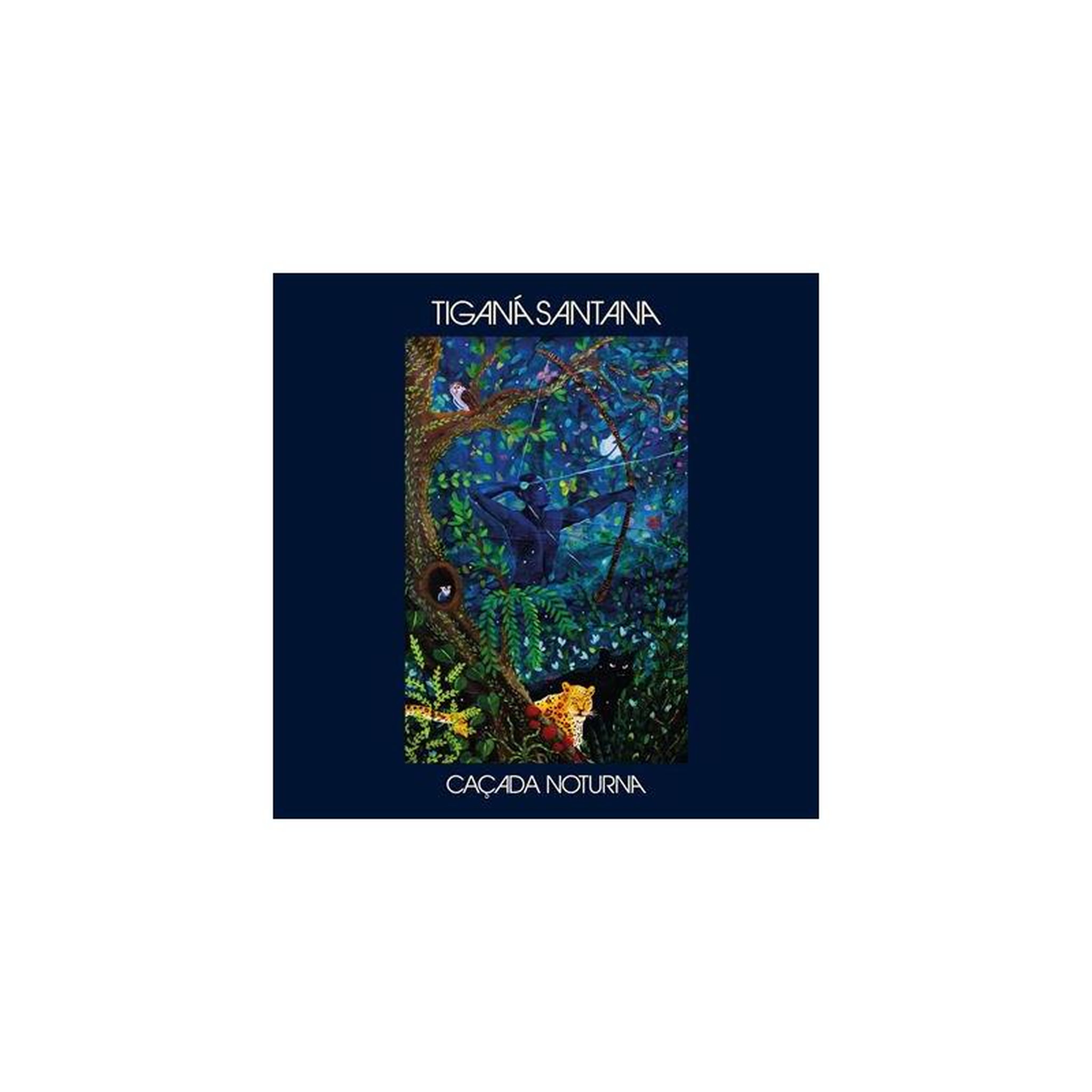 Vinyle 33t world music tigana santana « caçada noturna » album lp, guitares et cordes, pochette forêt nocturne