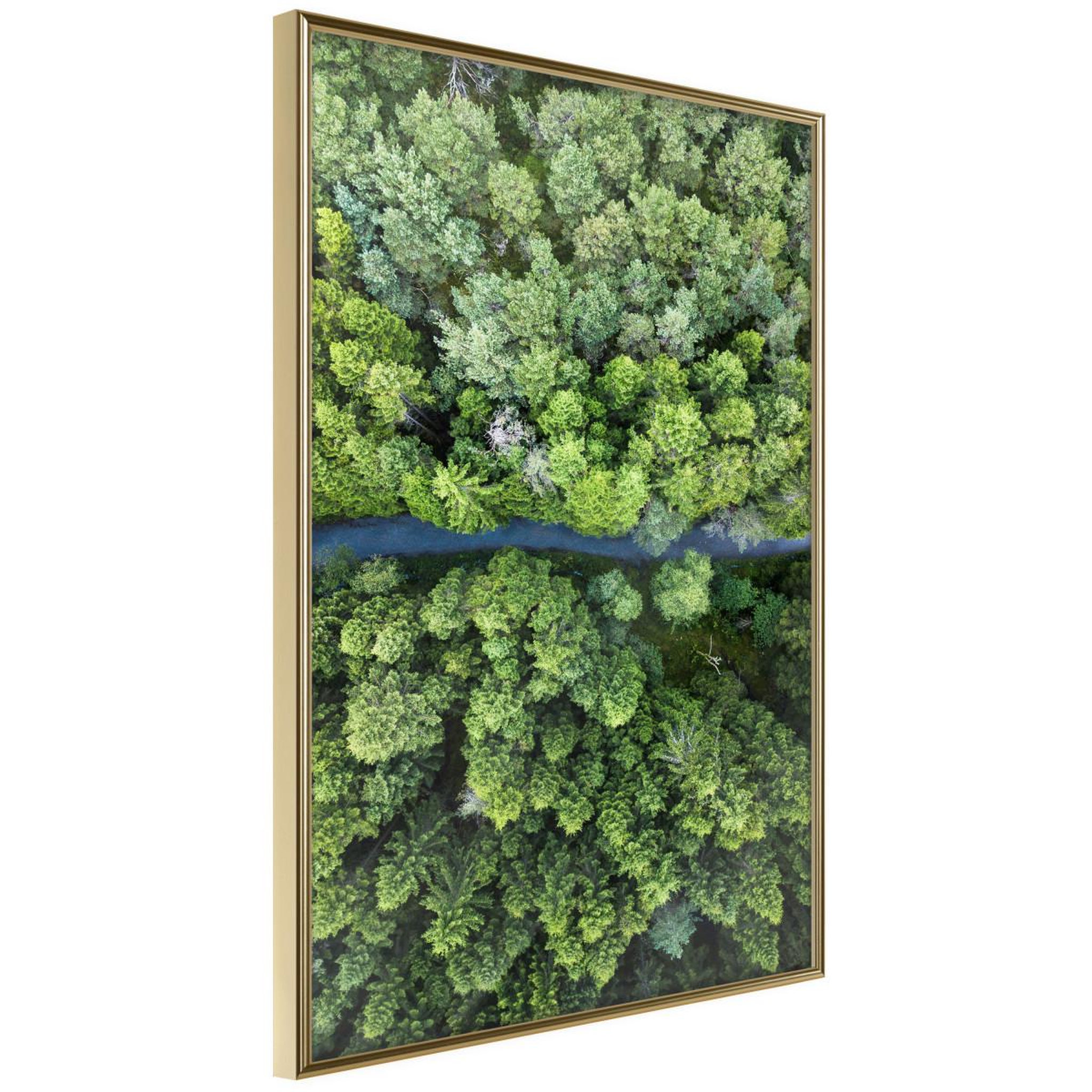 Paris Prix Affiche murale encadrée  forest from a bird's eye view