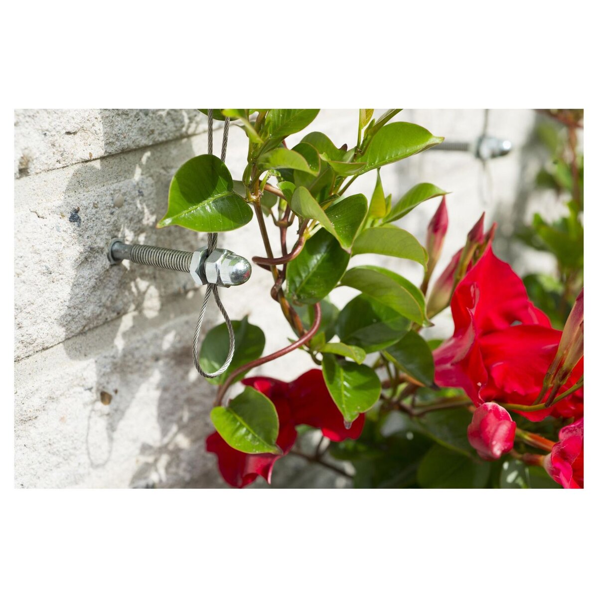 NATURE Kit de palissage - Cable fil de fer galvanisé pour treillis