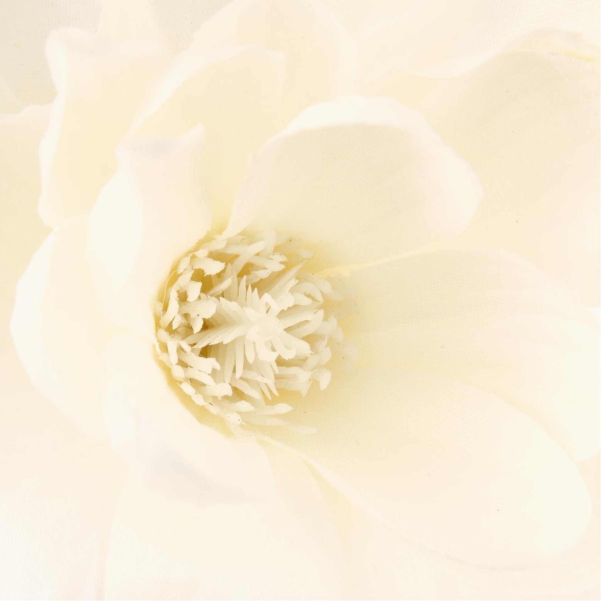 Voir la diapositive 2 : ATMOSPHERA Composition florale avec vase  magnolia  73cm blanc