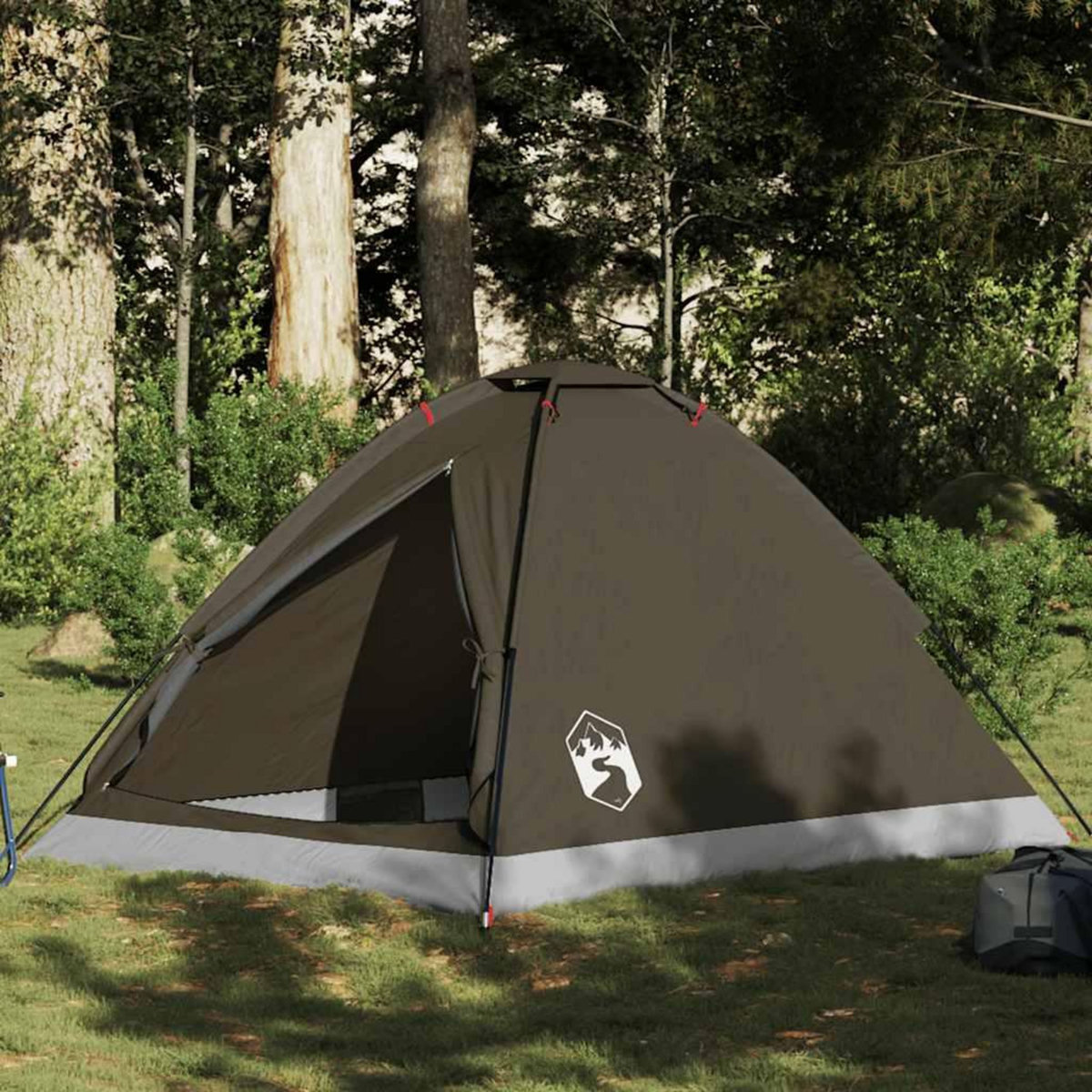 VIDAXL Tente de camping a dome 2 personne marron impermeable