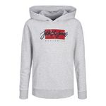 Jack & Jones Sweat à Capuche  GarçonJack & Jones 12259861. Coloris disponibles : Gris