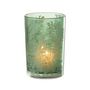 Voir la diapositive 2 : Paris Prix Photophore Design en Verre  Flora  18cm Vert