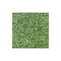 Voir la diapositive 2 : Nortene Haie artificielle verte 1x3m Nortene - Effet réaliste - 75842