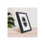 Voir la diapositive 5 : CEANOTHE Cadre Ceanothe CADRE 24X30 OUV 18X24 MILAN NOIR