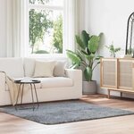 VIDAXL Tapis Shaggy a poils longs NAVARRA gris argente 160x160 cm