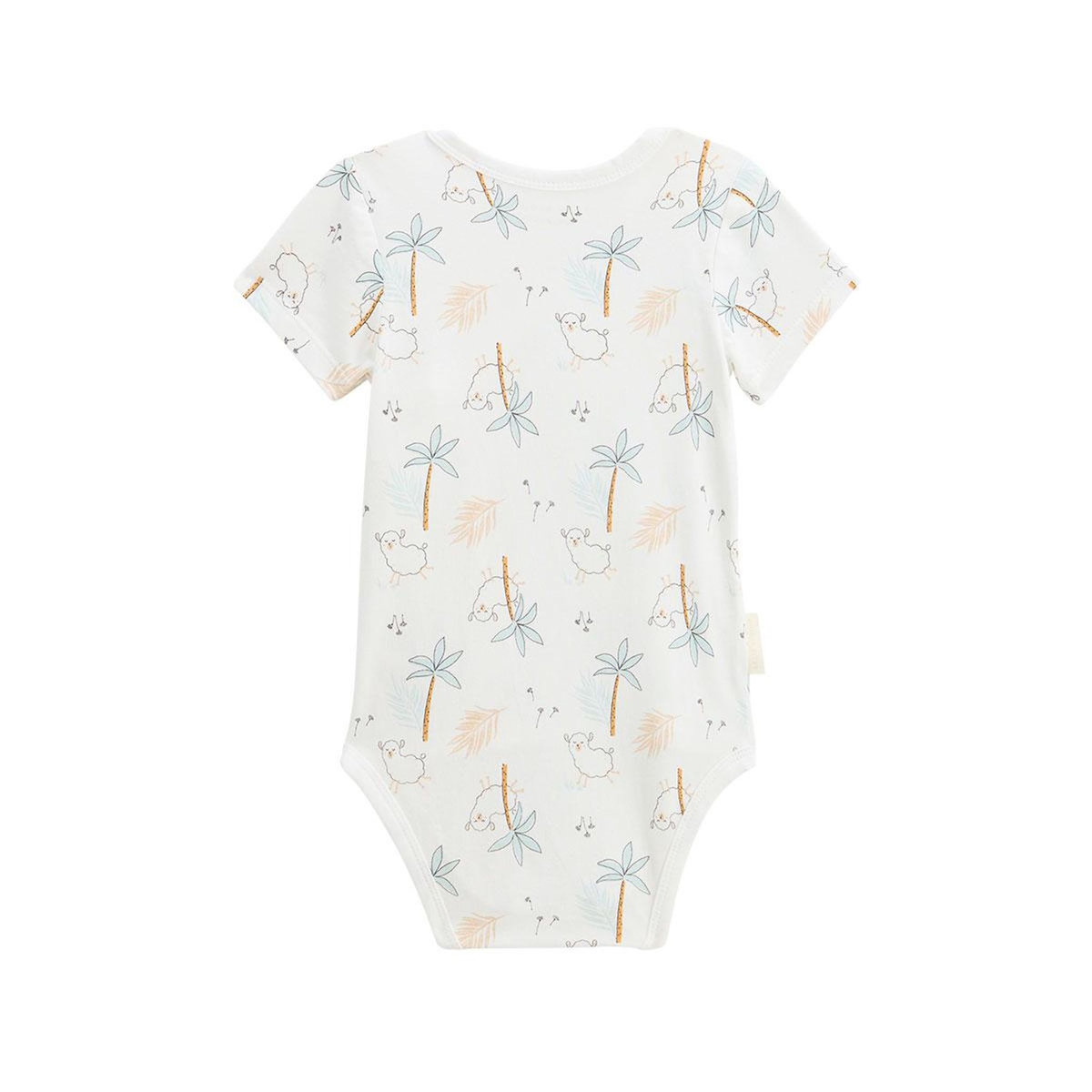 Petit Béguin Lot de 2 bodies bébé manches courtes ouverture croisée Noisette