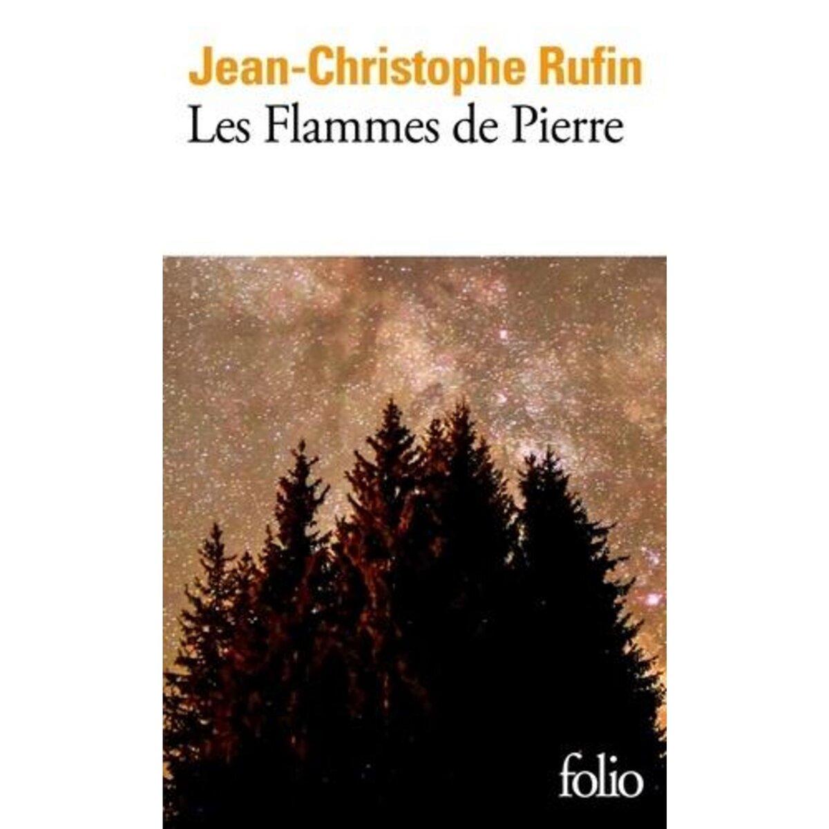 LES FLAMMES DE PIERRE, Rufin Jean-Christophe