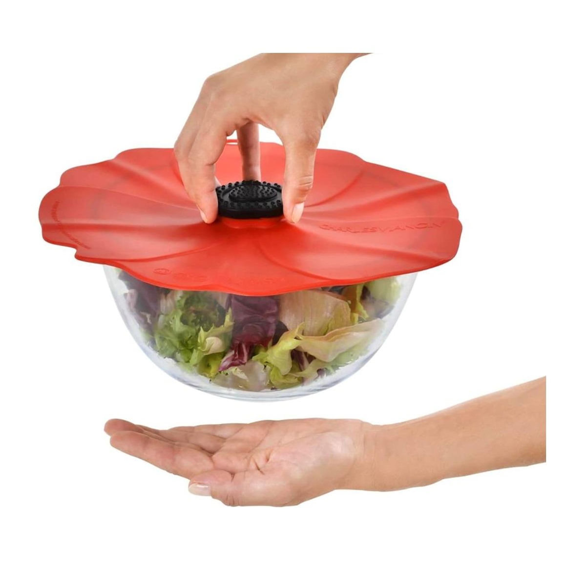 CHARLES VIANCIN Lot de 4 couvercles hermetique en silicone 10 - 15 - 23 - 28 cm - 2998EU