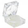 Voir la diapositive 1 : SC CRYSTAL Rose éternelle blanche