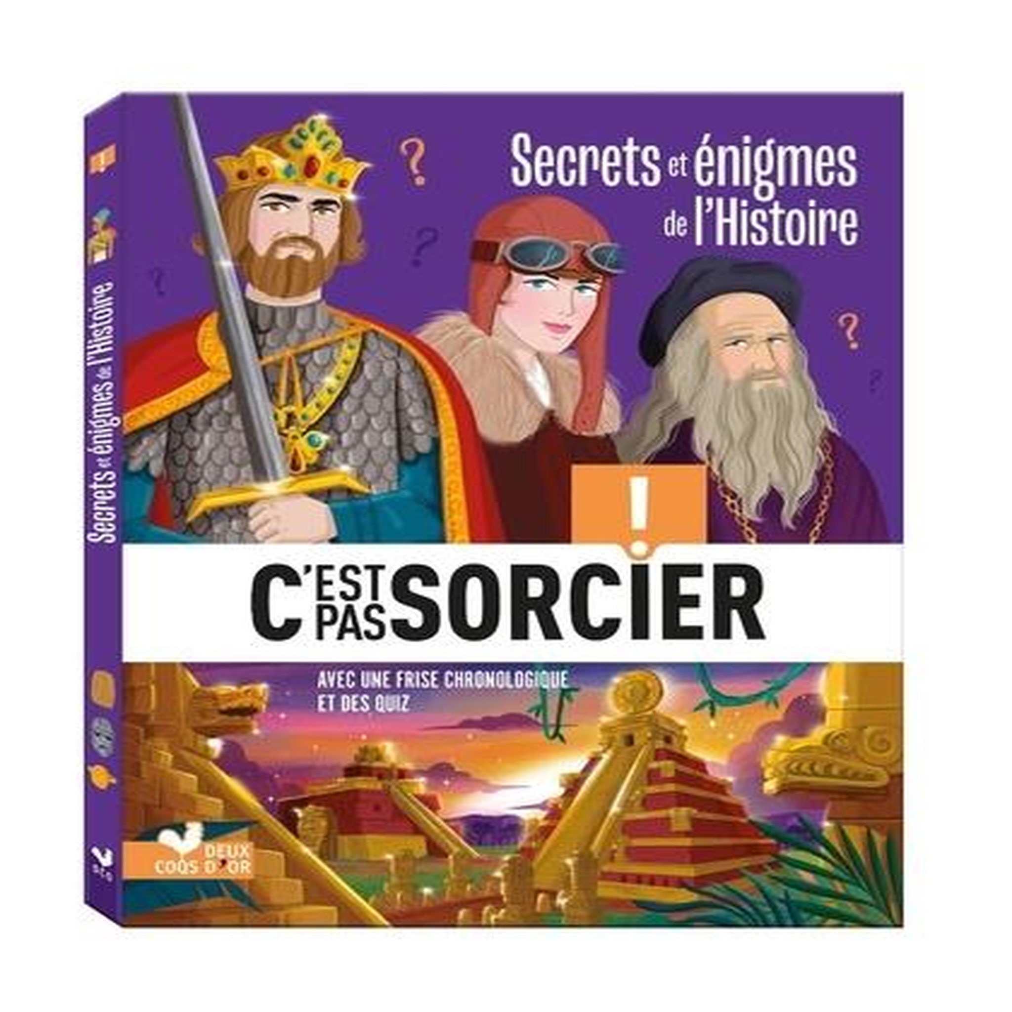 SECRETS ET ENIGMES DE L'HISTOIRE. AVEC UNE FRISE CHRONOLOGIQUE ET DES QUIZ, Bosc Frédéric