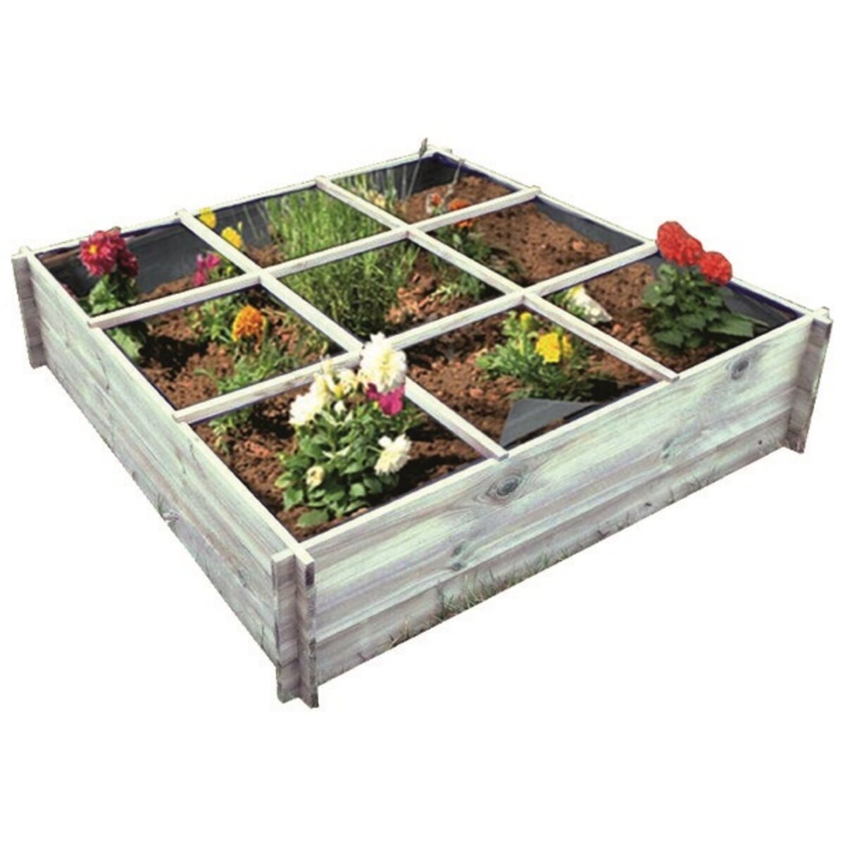 GARDENSTAR Carré Potager avec séparateurs - Bois - 100x100x20cm