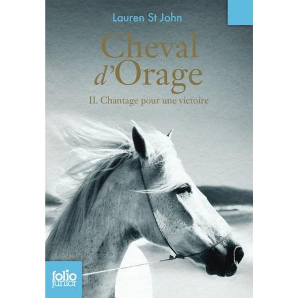 CHEVAL D'ORAGE TOME 2 : CHANTAGE POUR UNE VICTOIRE, St John Lauren