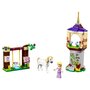 LEGO Disney Princess 41065 - Le jardin de Raiponce
