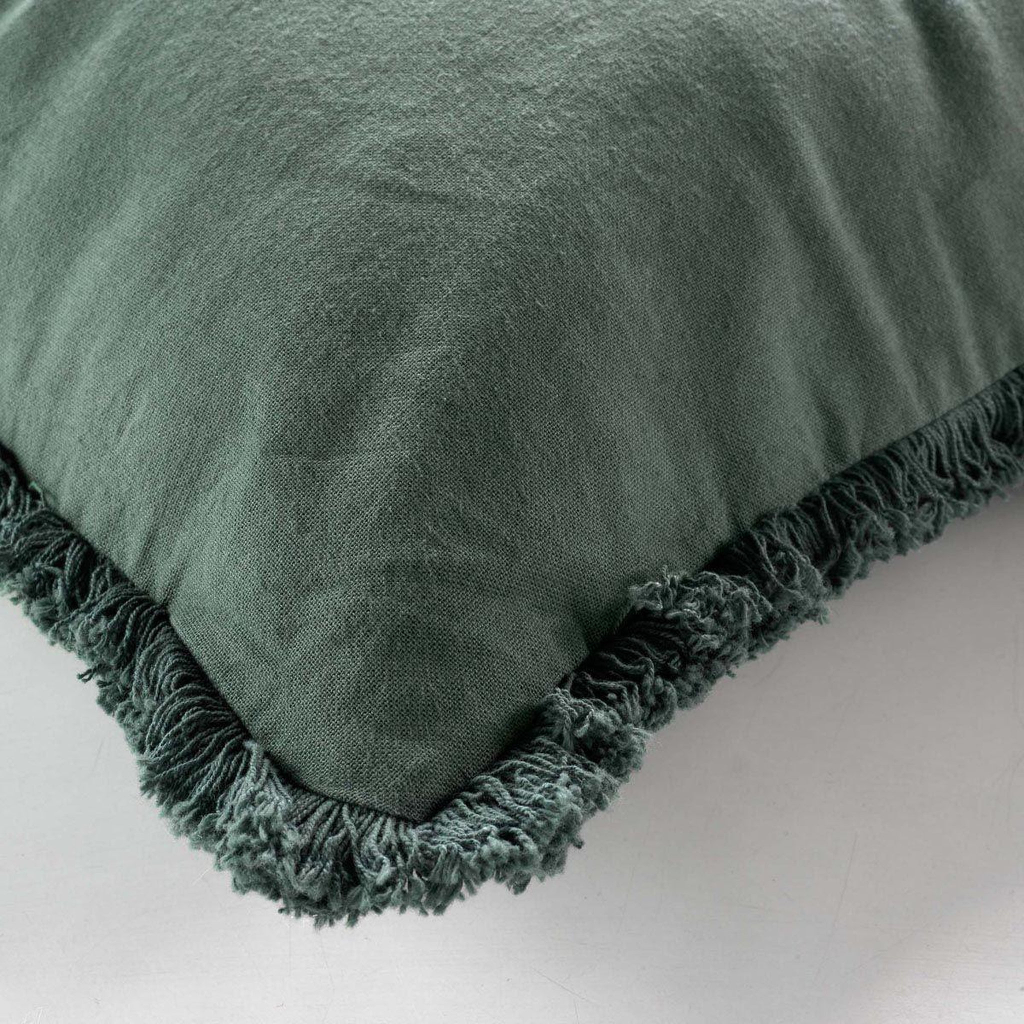 Voir la diapositive 2 : Douceur d'Intérieur Coussin déco à franges  eve  45x45cm verveine