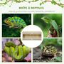 Voir la diapositive 4 : PAWHUT Terrarium - vivarium reptiles & batraciens - 2 portes coulissantes verre trempé - parois frontales maillées - OSB métal