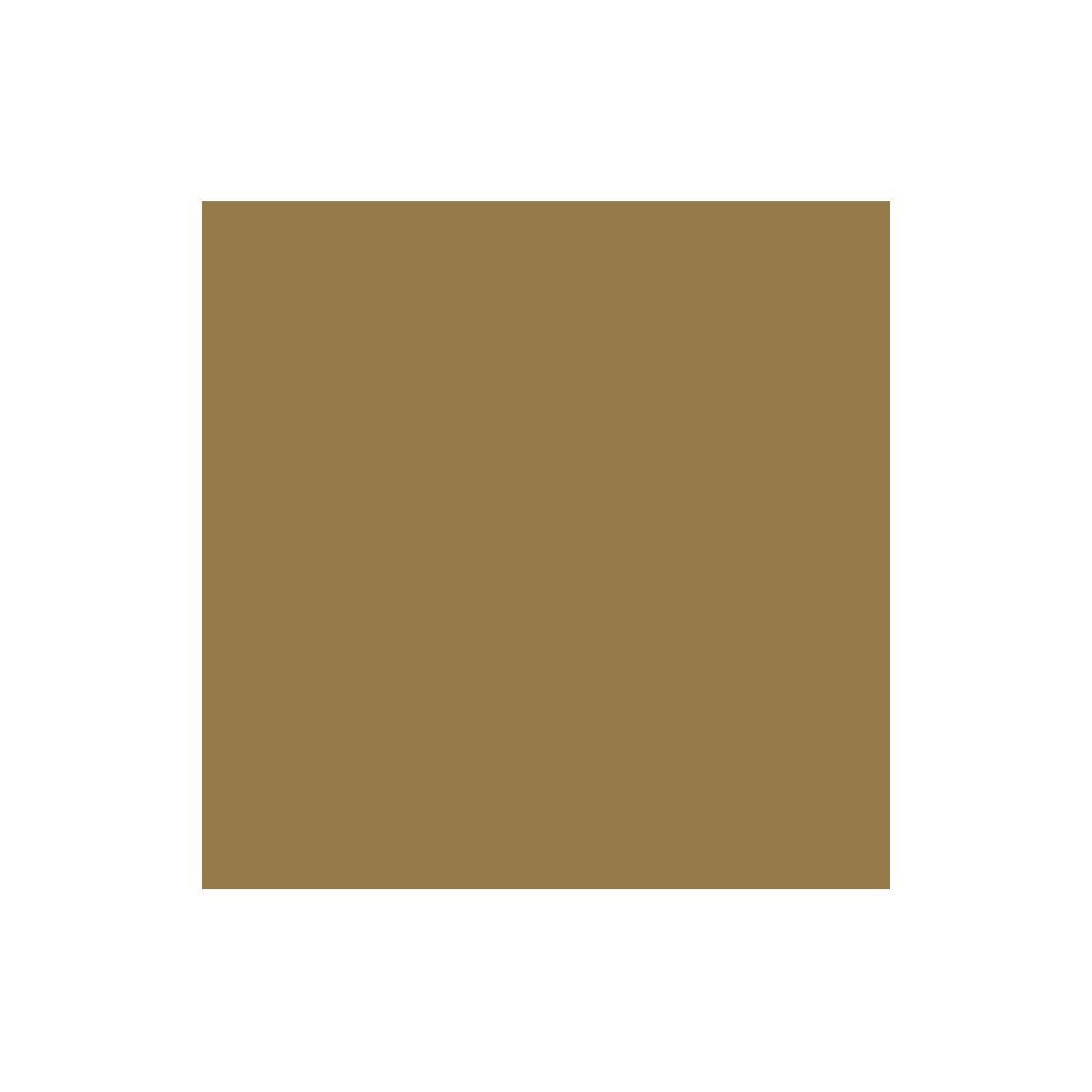 CRICUT Accessoire Rouleau Vinyle or brillant 30x120 c