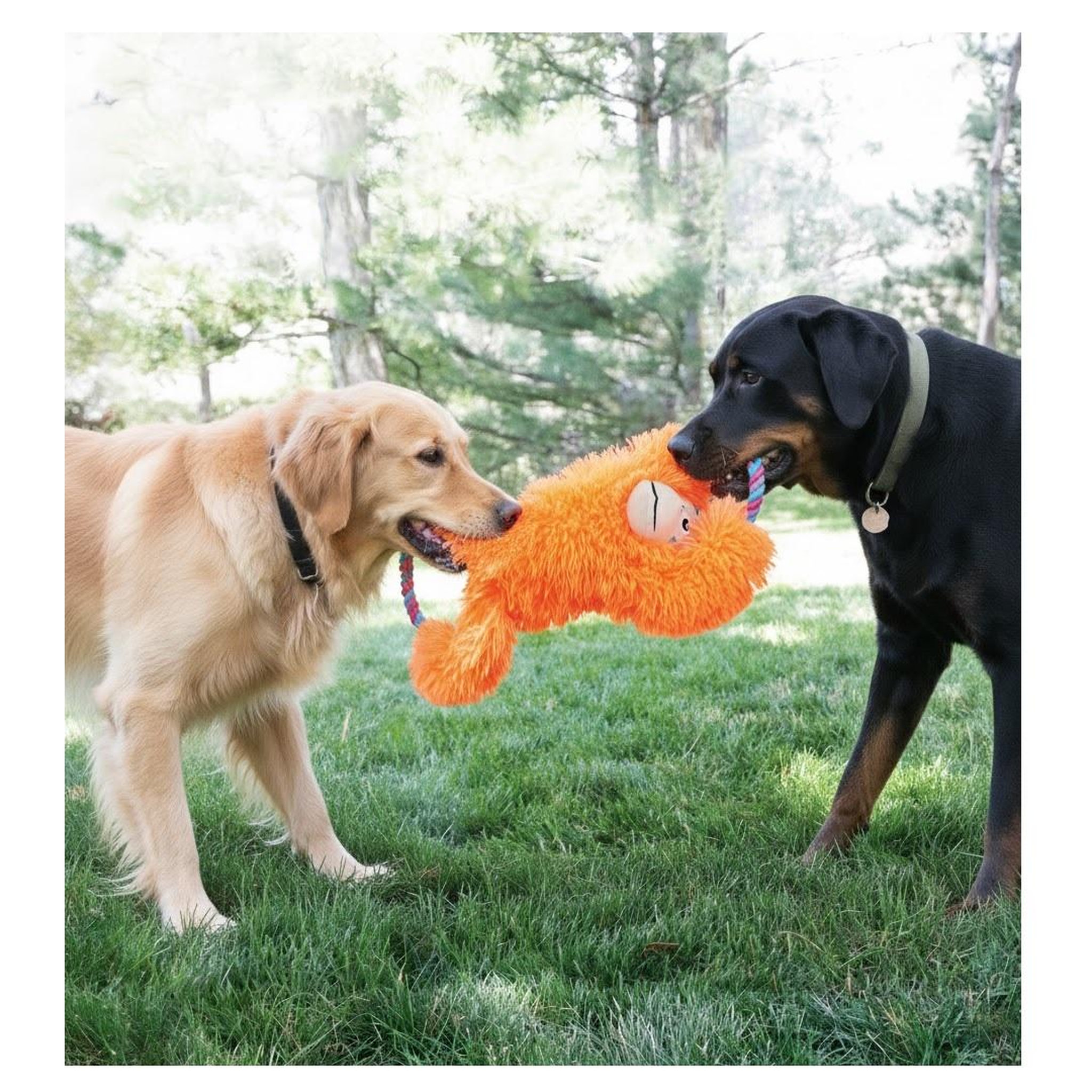 Voir la diapositive 5 : Eden Jeu pour chien tuggz singe orange