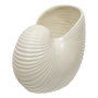 Voir la diapositive 1 : ATMOSPHERA Vase Coquillage en Dolomite  Océania  22cm Blanc