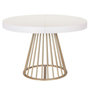 Voir la diapositive 1 : Paris Prix Table de Repas Extensible  Resoa  110-260cm Blanc