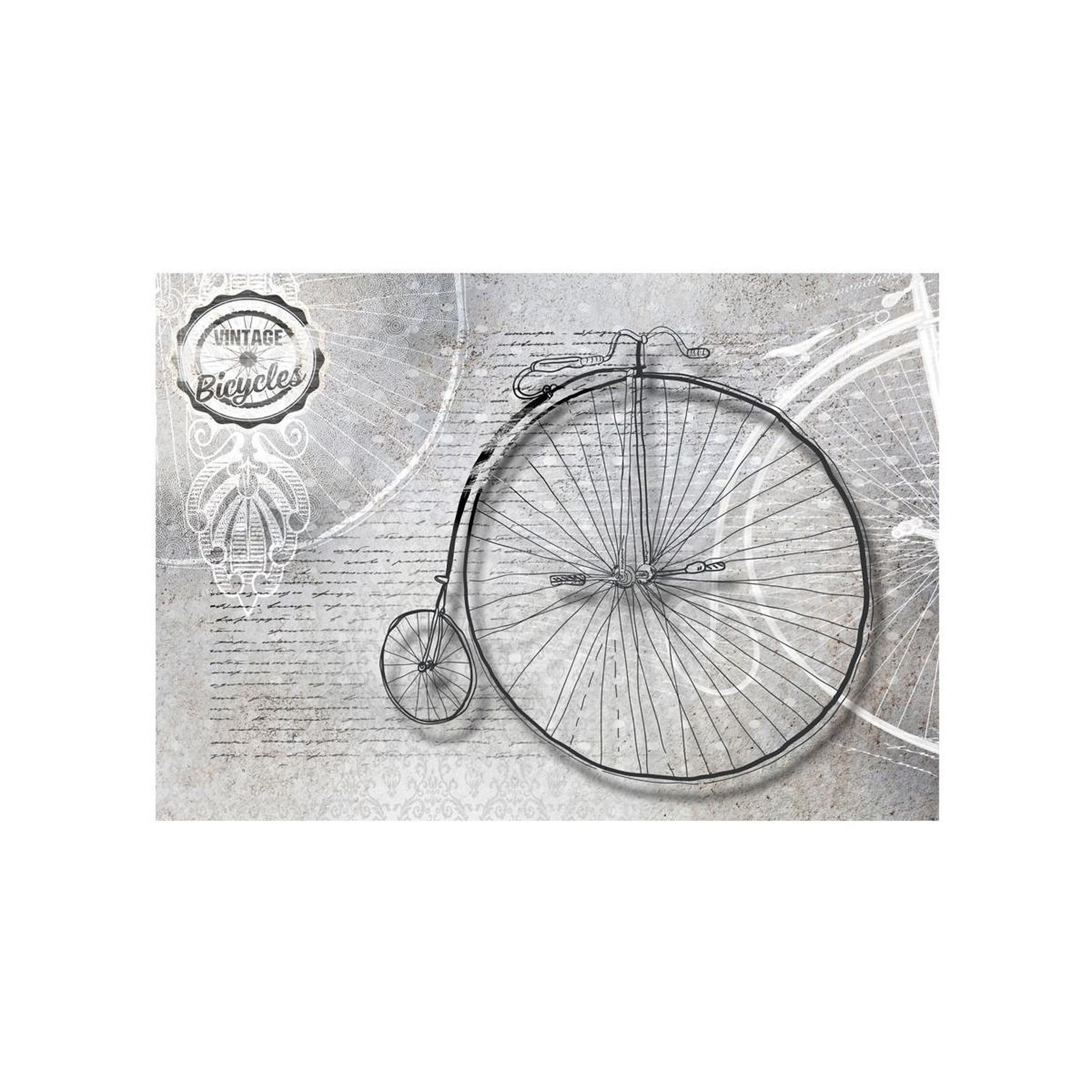 Voir la diapositive 2 : Paris Prix Papier peint  vintage bicycles black & white