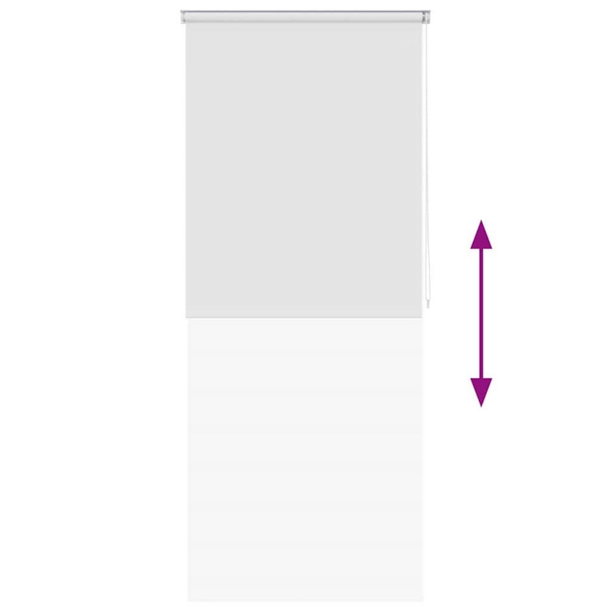 VIDAXL Store roulant de douche 120x240 cm Blanc