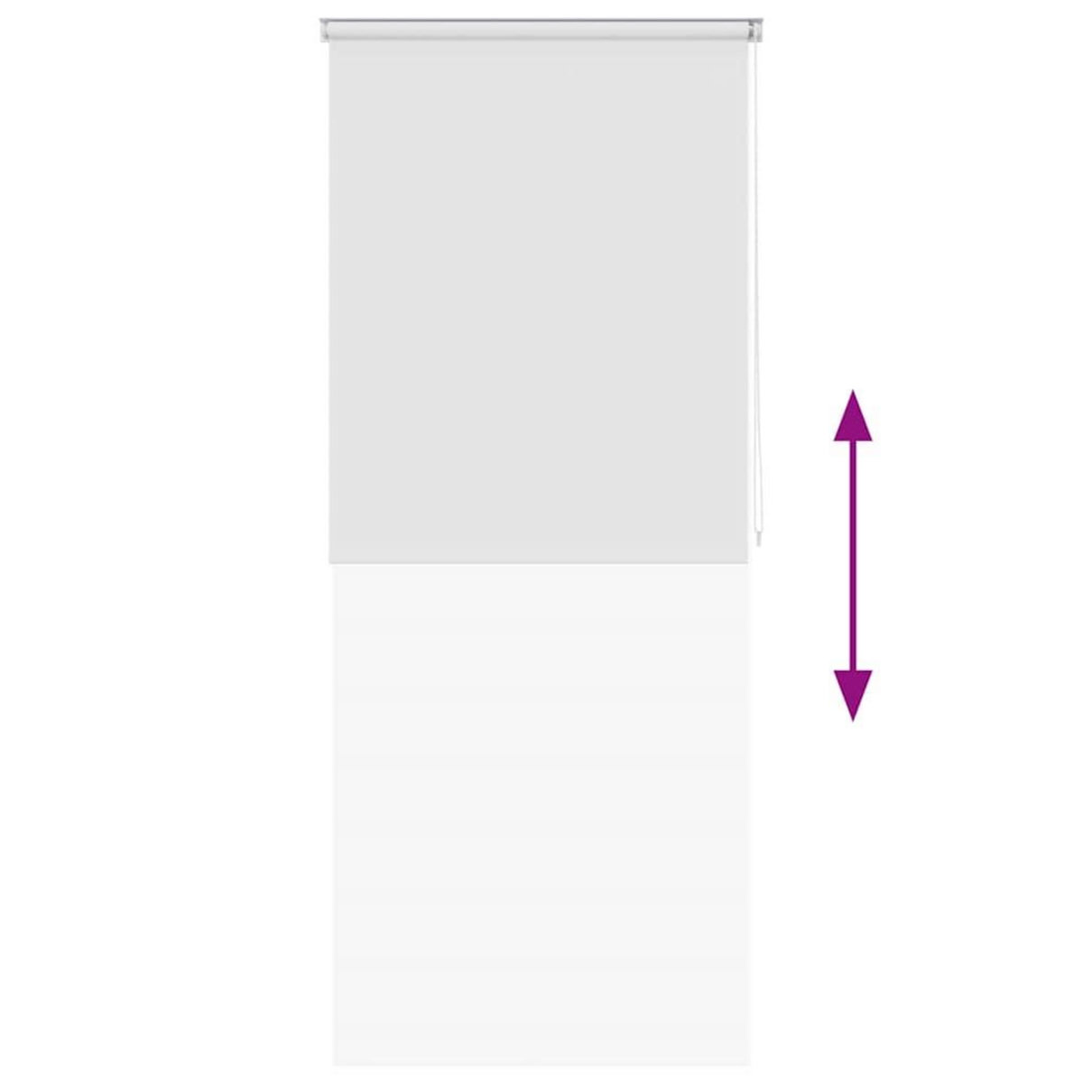 VIDAXL Store roulant de douche 120x240 cm Blanc