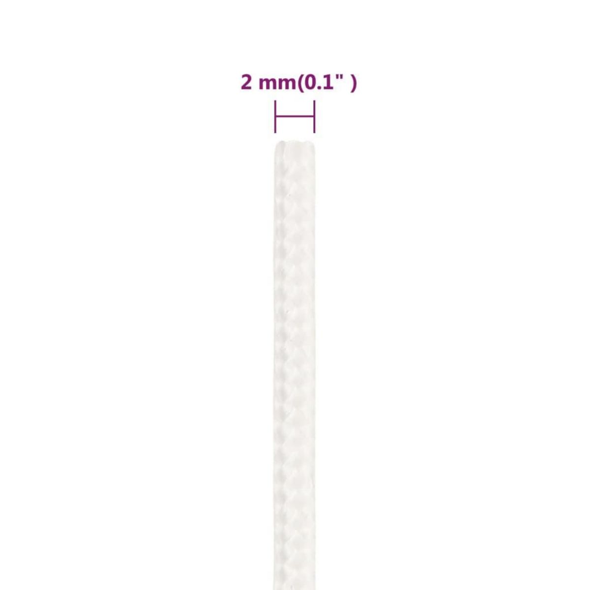 VIDAXL Corde de bateau Blanc complet 2 mm 250 m Polypropylene