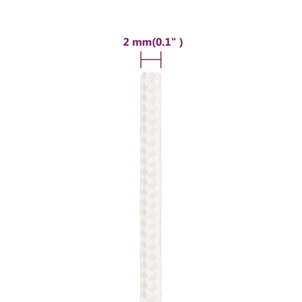 VIDAXL Corde de bateau Blanc complet 2 mm 250 m Polypropylene