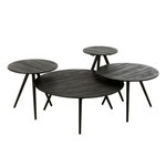 Paris Prix Lot de 4 Tables Basses en Bois  Teck  70cm Noir