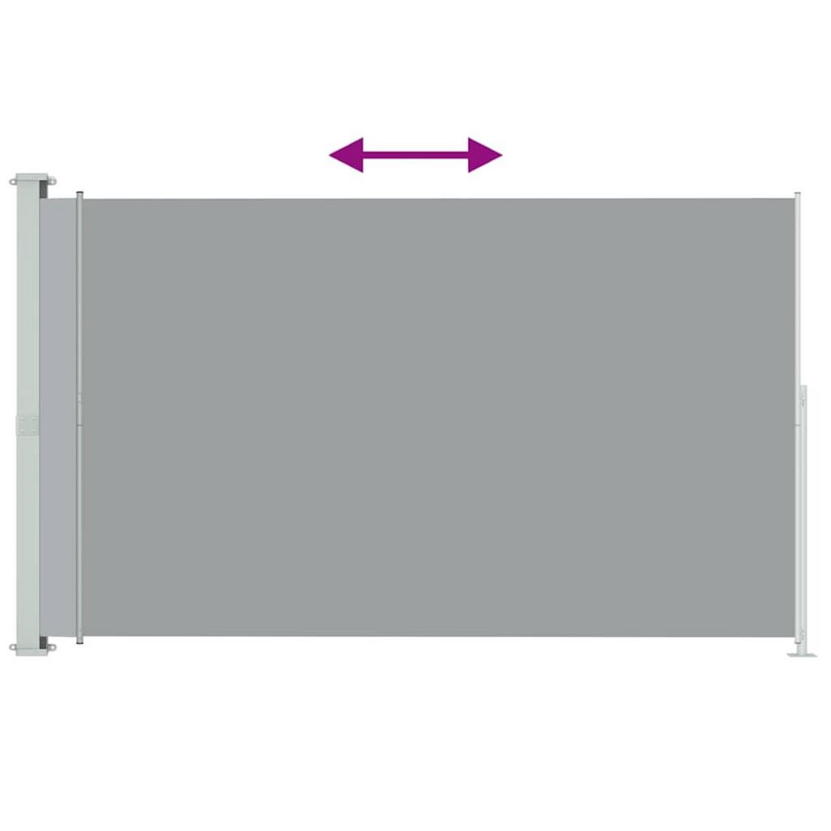 VIDAXL Auvent lateral retractable de patio 220x300 cm Gris