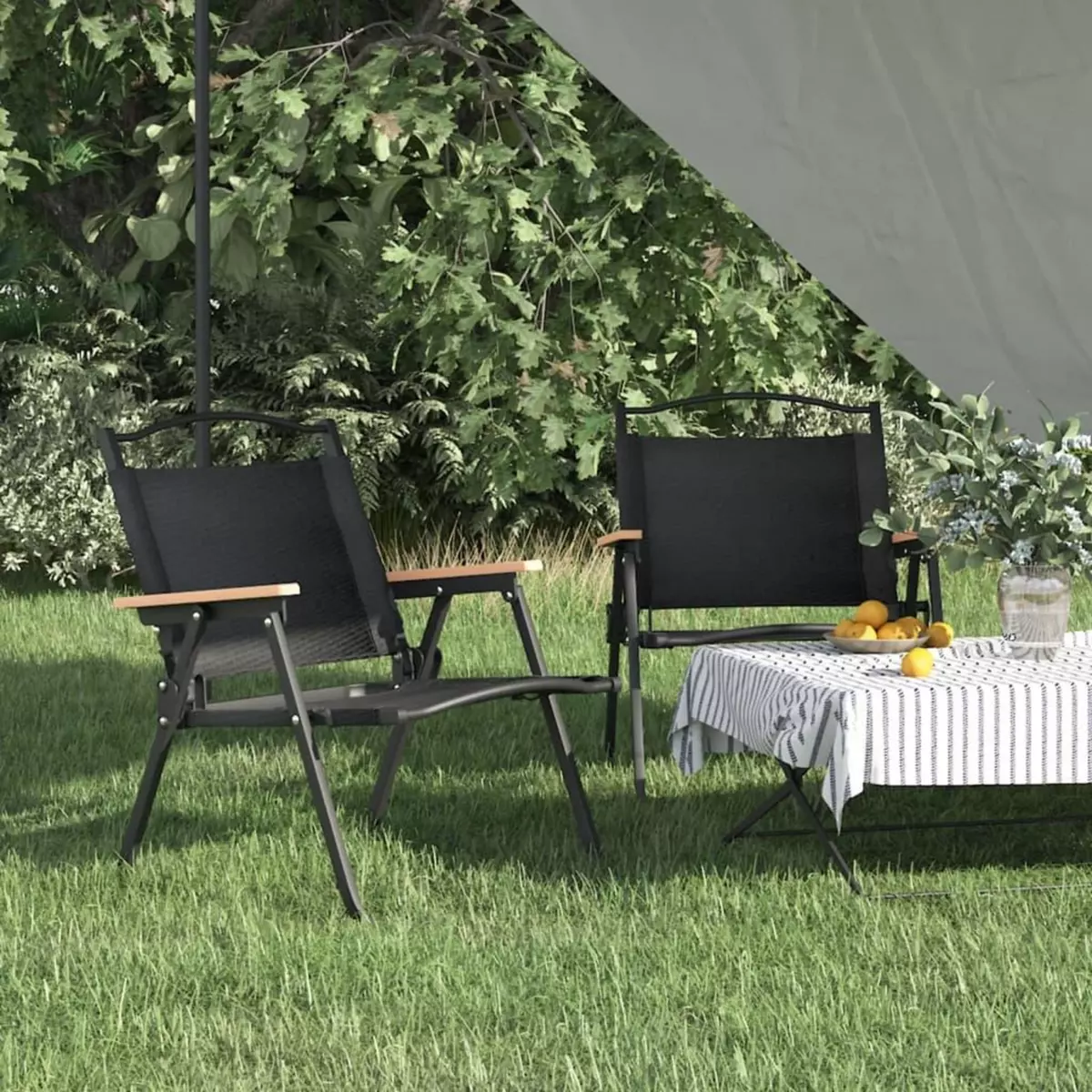 VIDAXL Chaises de camping 2 pcs Noir 54x43x59 cm Tissu Oxford