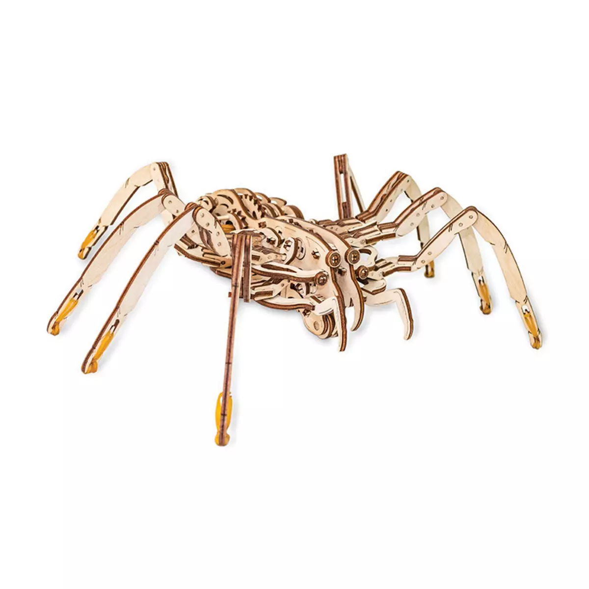  Maquette 3D en bois - Araignée 35 cm