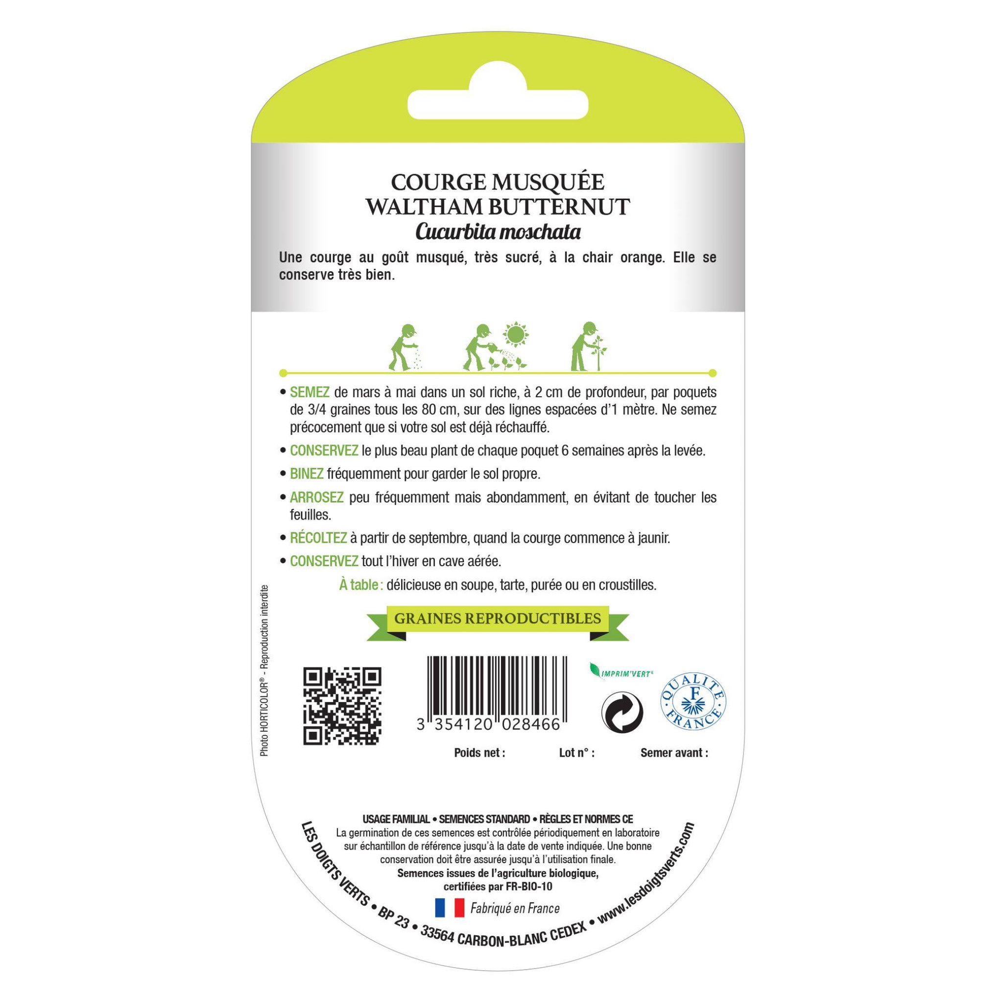 Voir la diapositive 2 : LES DOIGTS VERTS Graines Courge Musquée Waltham Butternut BIO Les Doigts Verts