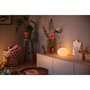 Voir la diapositive 5 : Philips Lampe connectée W&C FLOURISH 9.5W Blanc