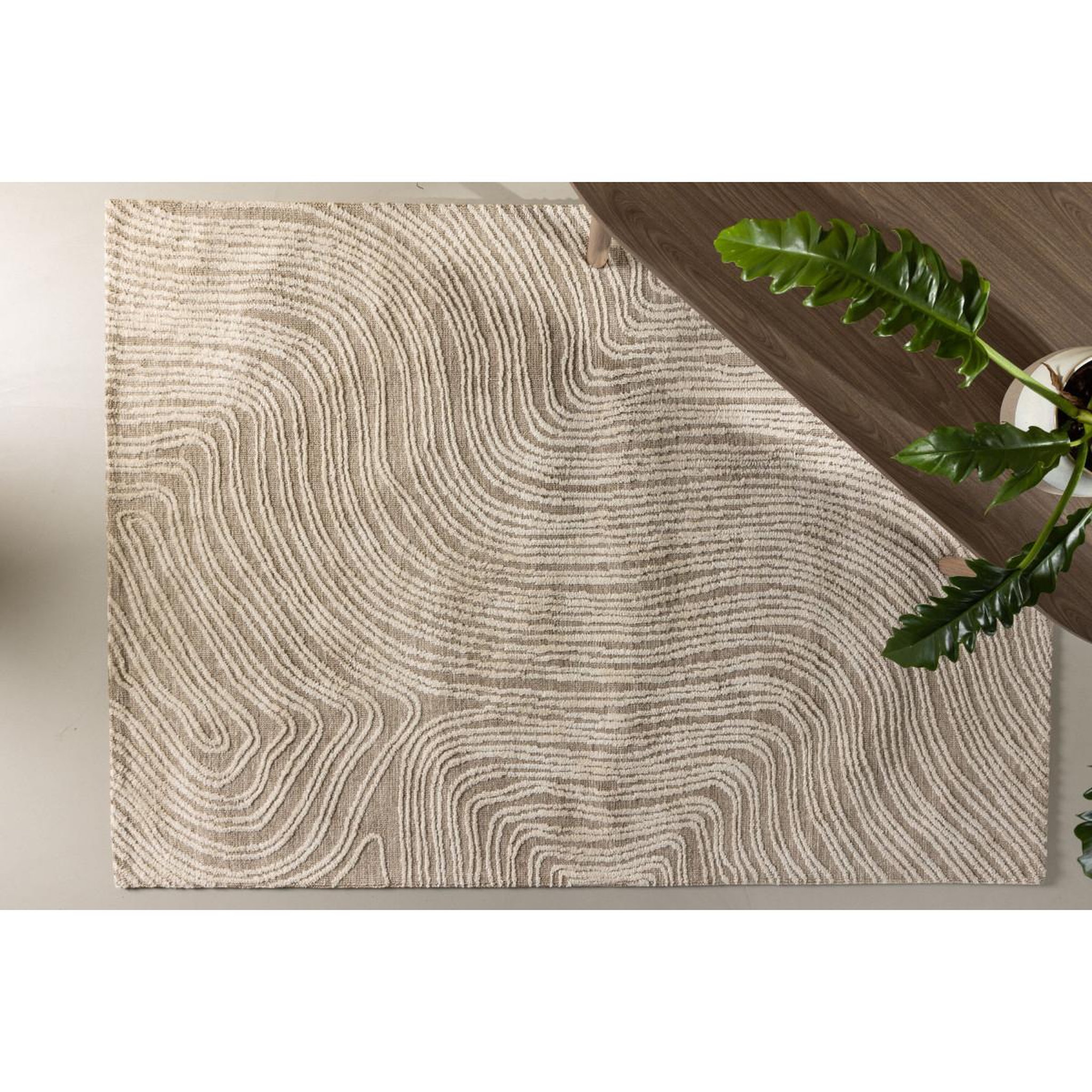 Voir la diapositive 4 : Paris Prix Tapis déco  melle  295x395cm beige