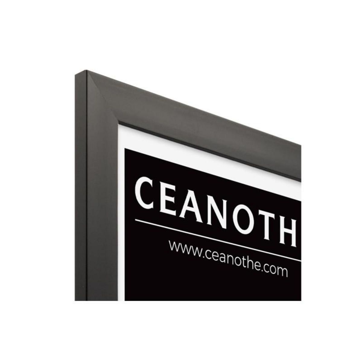 CEANOTHE Cadre Ceanothe CADRE 40X50 ETERNEL NOIR