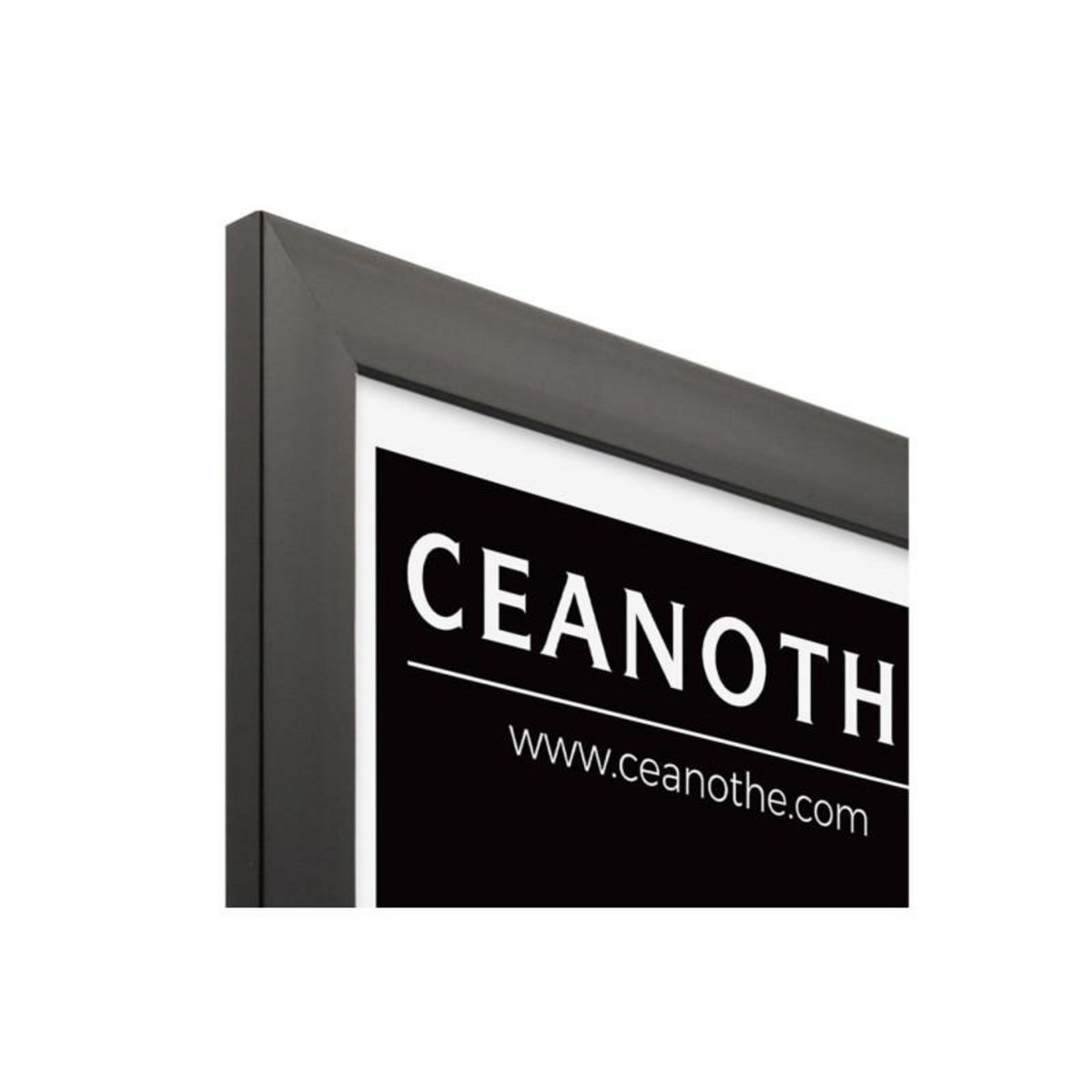 CEANOTHE Cadre Ceanothe CADRE 40X50 ETERNEL NOIR
