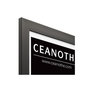Voir la diapositive 4 : CEANOTHE Cadre Ceanothe CADRE 40X50 ETERNEL NOIR