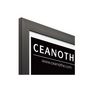 Voir la diapositive 4 : CEANOTHE Cadre Ceanothe CADRE 40X50 ETERNEL NOIR