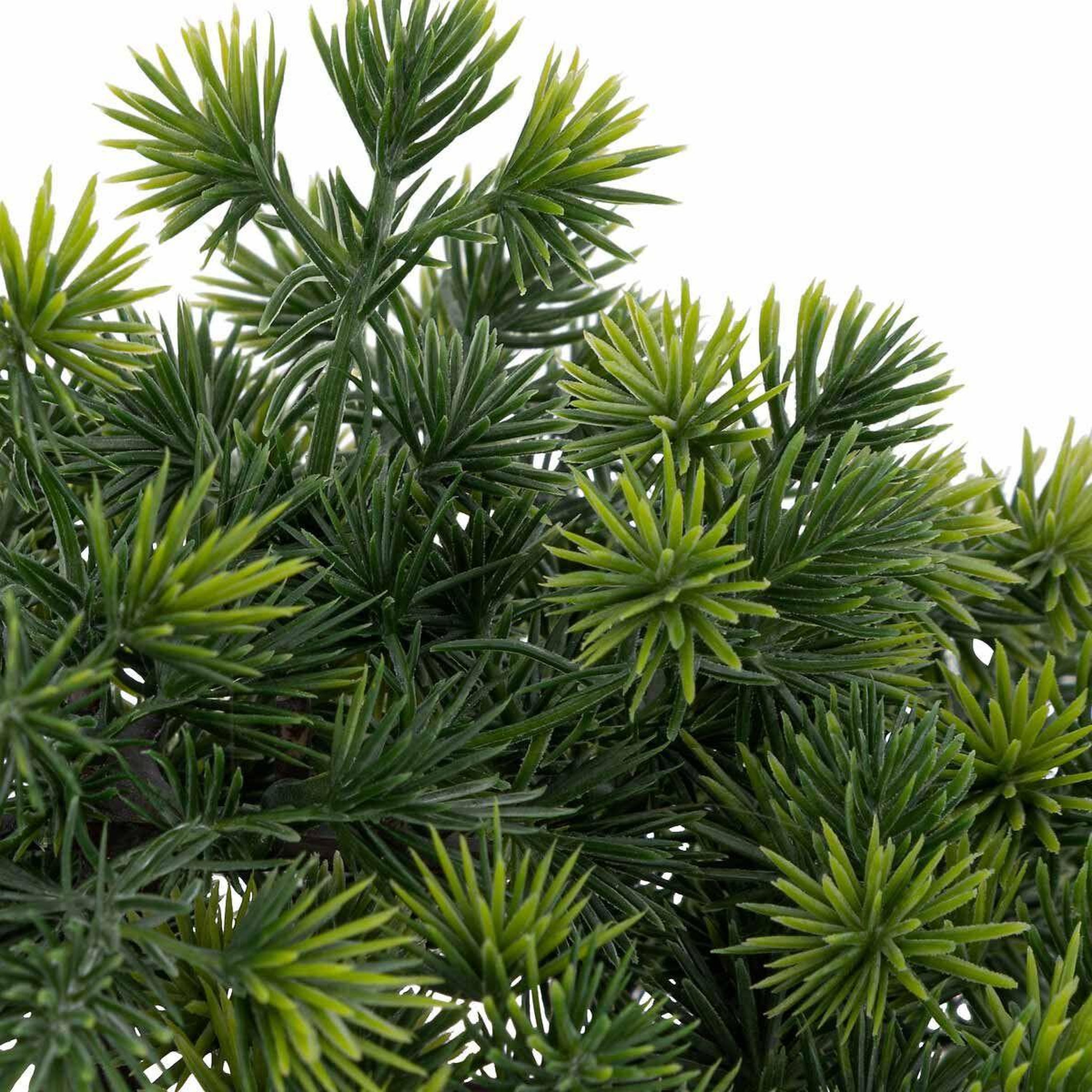 Voir la diapositive 2 : ATMOSPHERA Bonsaï artificiel en pot  jiling  26cm bleu