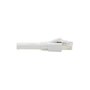 Voir la diapositive 4 : Eaton Câble Ethernet 4.57M Droit CAT8 Blanc