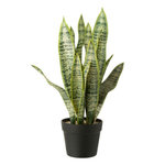Paris Prix Plante Artificielle en Pot  Dracaena Trifasciata  55cm Vert