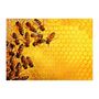 Voir la diapositive 1 : RAVENSBURGER Puzzle 1000 p ruche abeilles