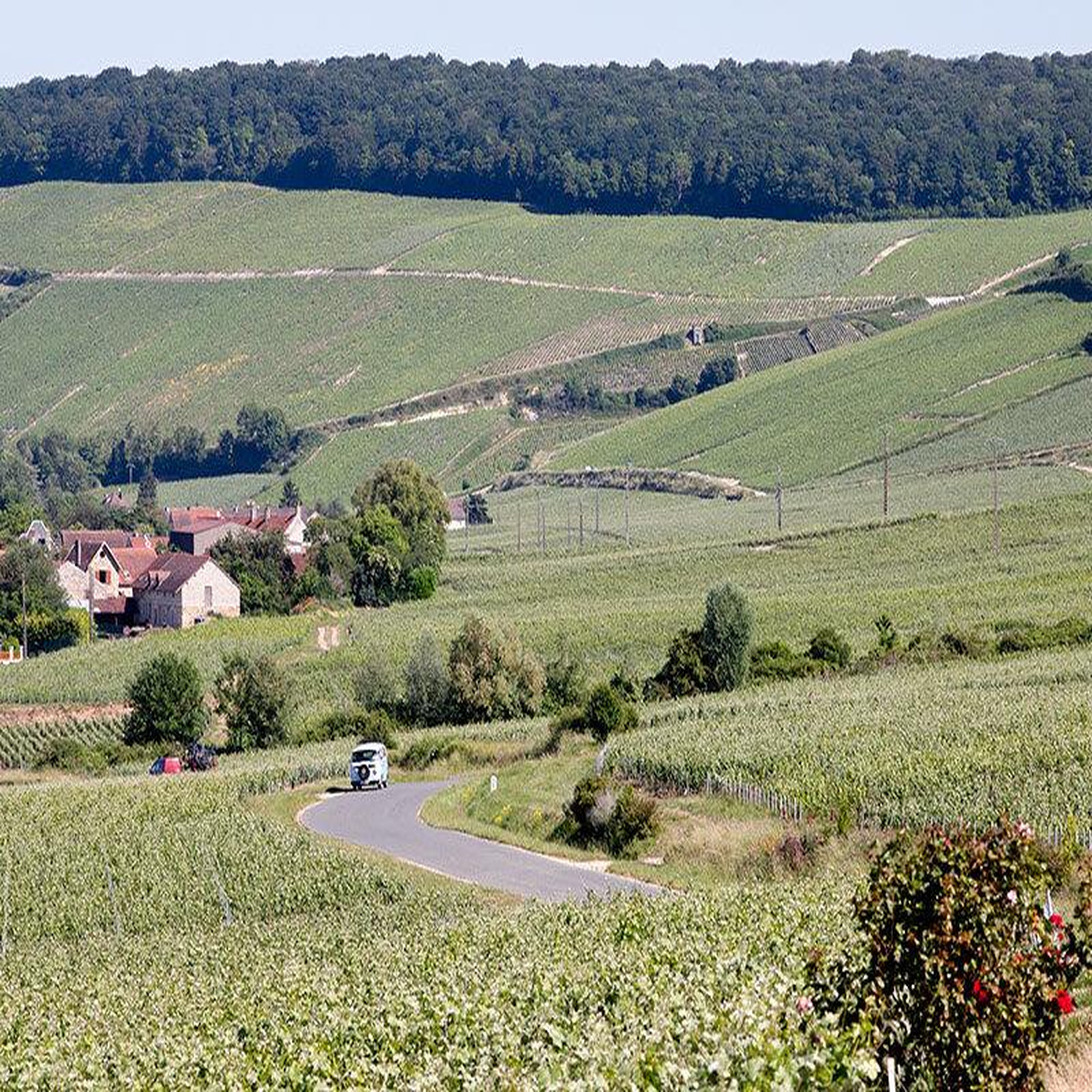 Voir la diapositive 2 : Smartbox Balade en combi sur la route du champagne avec dégustation - coffret cadeau sport & aventure