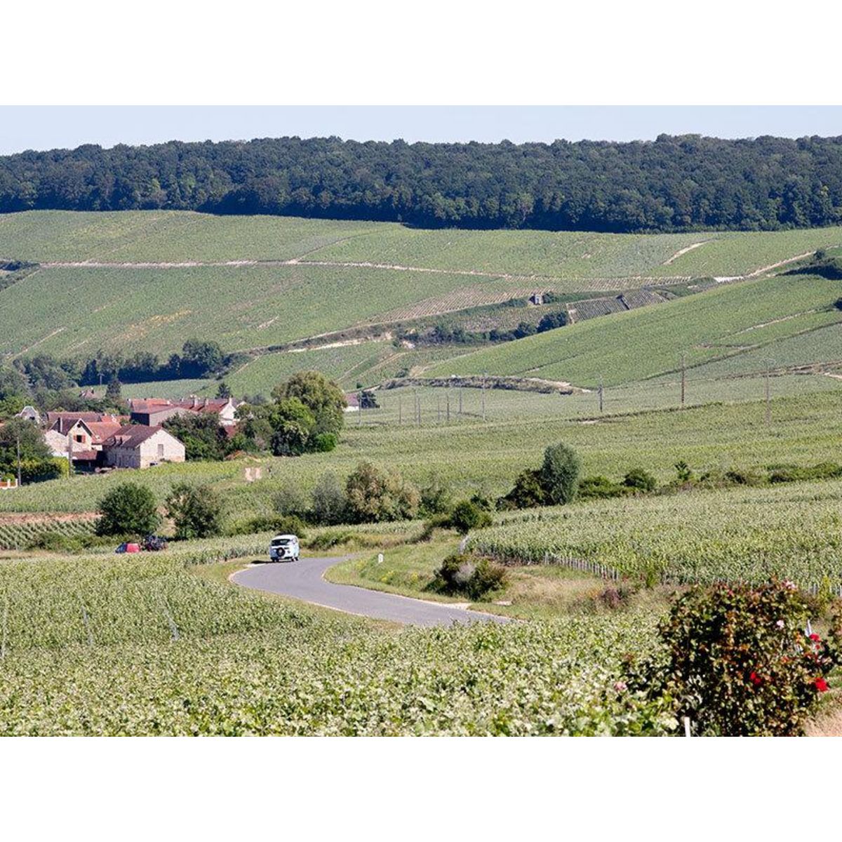 Smartbox Balade en combi sur la route du champagne avec dégustation - Coffret Cadeau Sport & Aventure