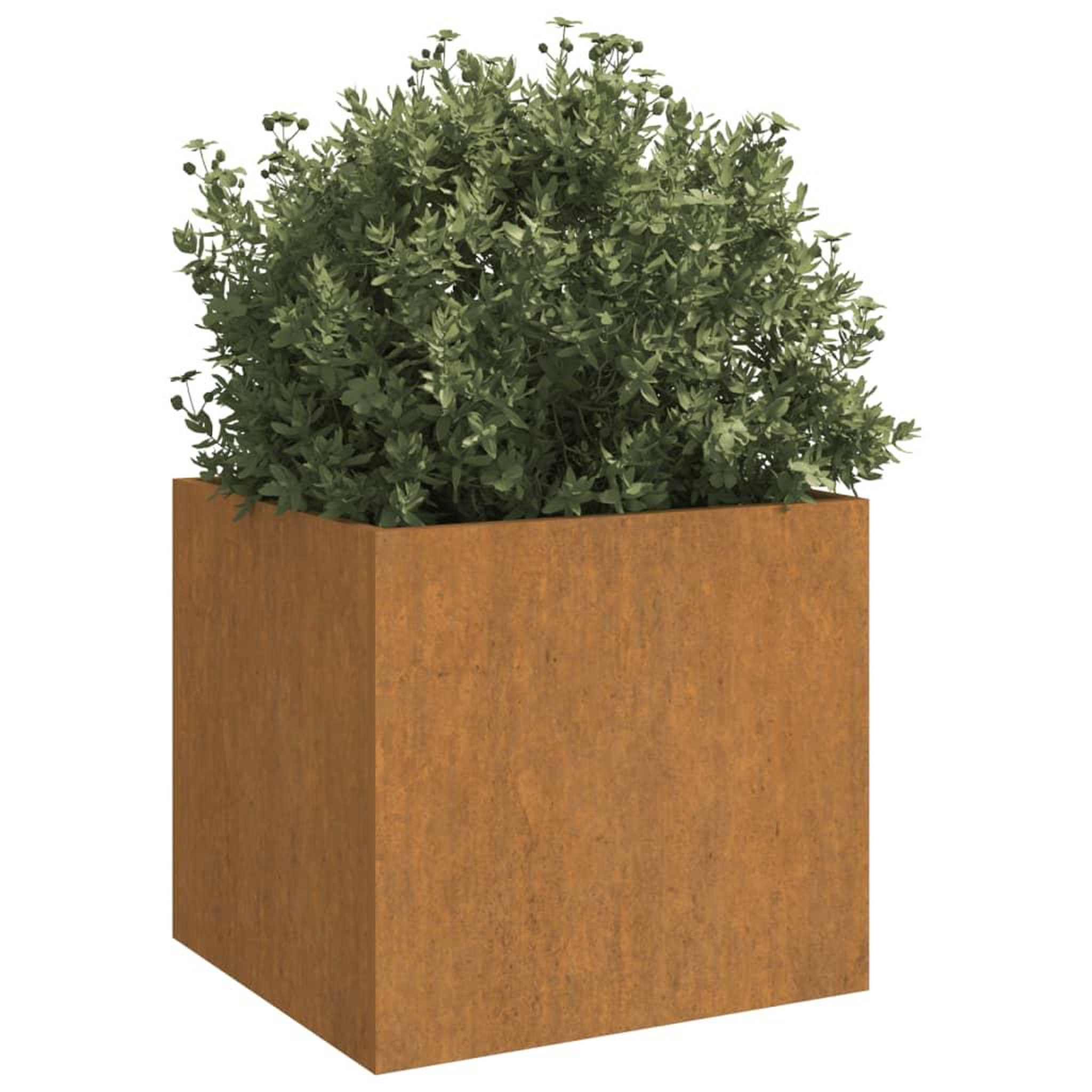 Voir la diapositive 3 : VIDAXL Jardiniere 32x30x29 cm acier corten