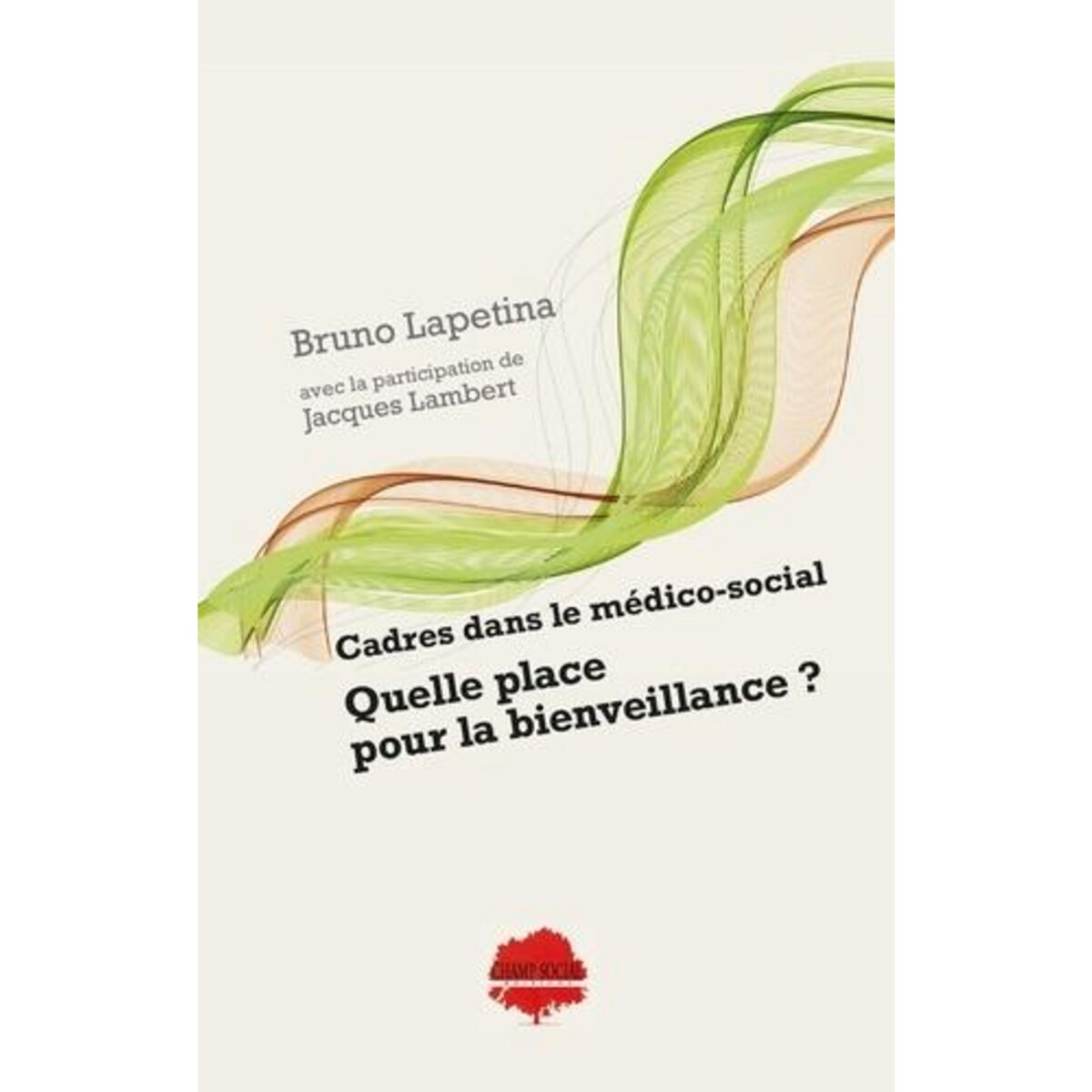 CADRES DANS LE MEDICO-SOCIAL : QUELLE PLACE POUR LA BIENVEILLANCE ?, Lapetina Bruno
