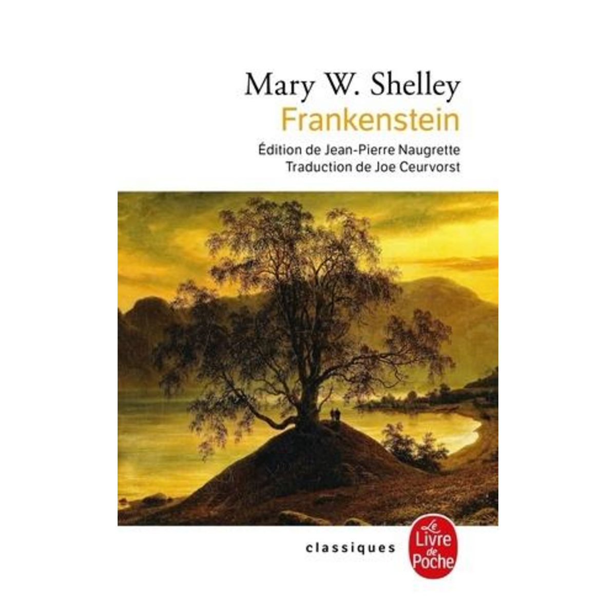 FRANKENSTEIN OU LE PROMETHEE MODERNE, Shelley Mary